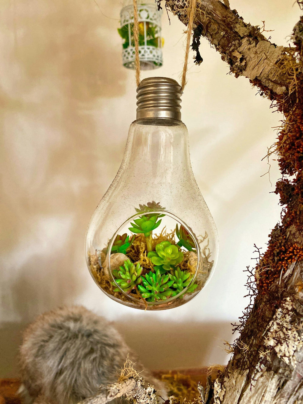 why choose eco lifestyle